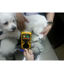 pulsoximetro-veterinaria